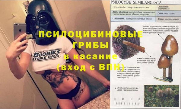 apvp Алзамай