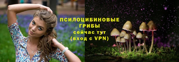 эйфоретик Абинск