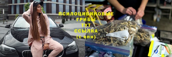 mix Абаза